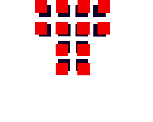 TECSEM